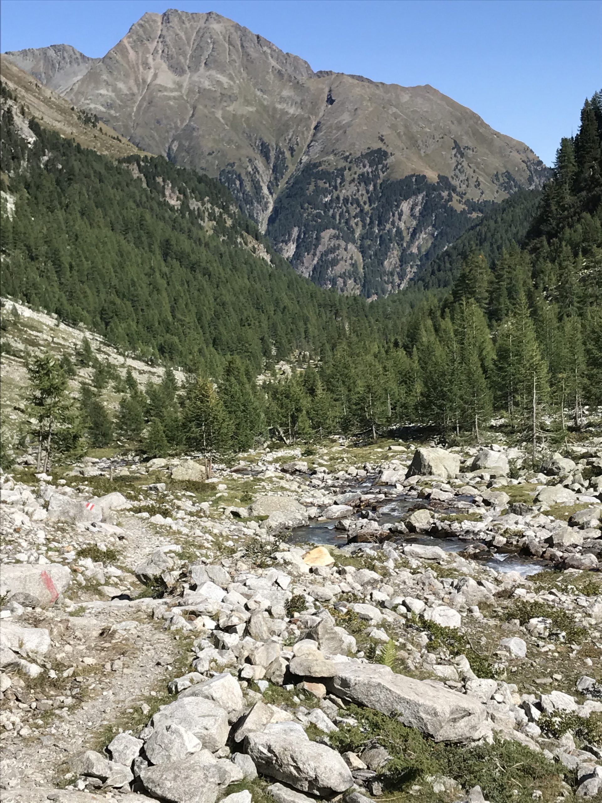 IMG_0319